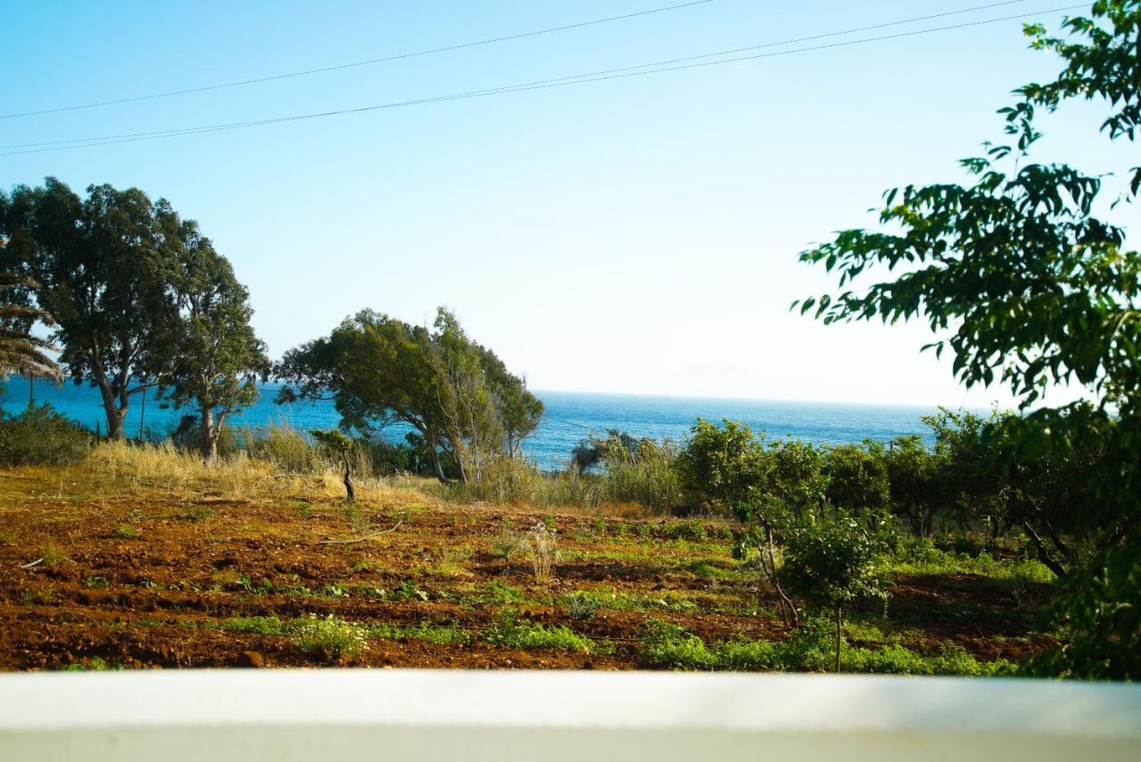 Kathys Island Retreat Aparthotel Adia Buitenkant foto