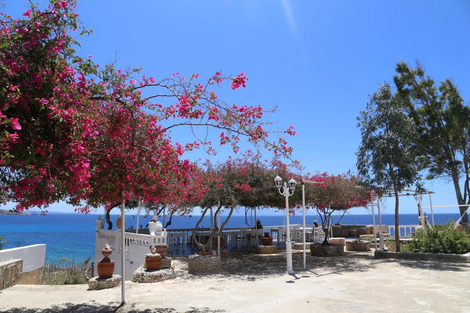 Kathys Island Retreat Aparthotel Adia Buitenkant foto